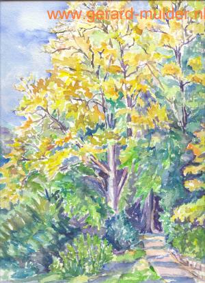 herfst in sonsbeek
